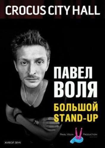 Павел Воля. Большой Stand-Up / Камеди Клаб / Comedy Club (30.12.2015)