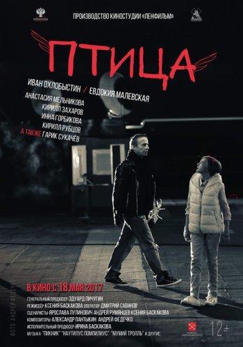 Птица (2017)